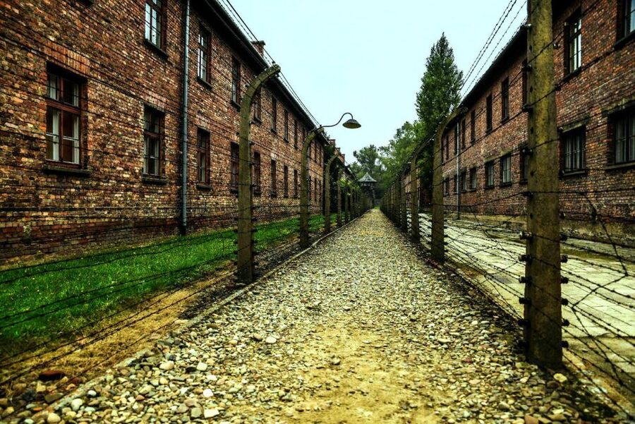 Krakow: Guided Auschwitz-Birkenau Tour - Minivan Transport - Skip-the-line tickets: what they help with (and what they do not)