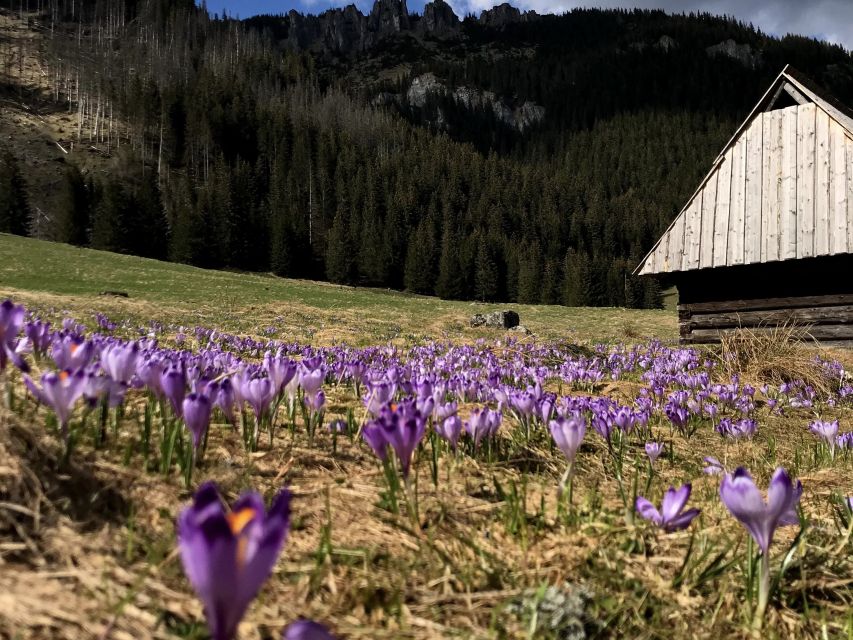 Krakow: Hiking Adventure in Tatra Mountains & Thermal Baths - Who this Tatra hike plus Termy Bukovina day suits best