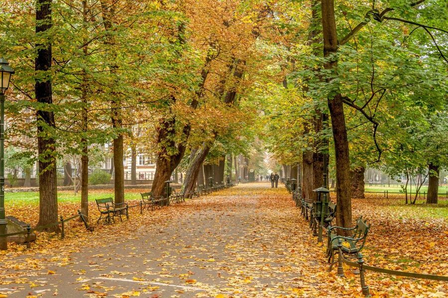 Krakow: Old Town Guided Walking Tour - Price and value: $32 for a guided story from Old Town to Wawel