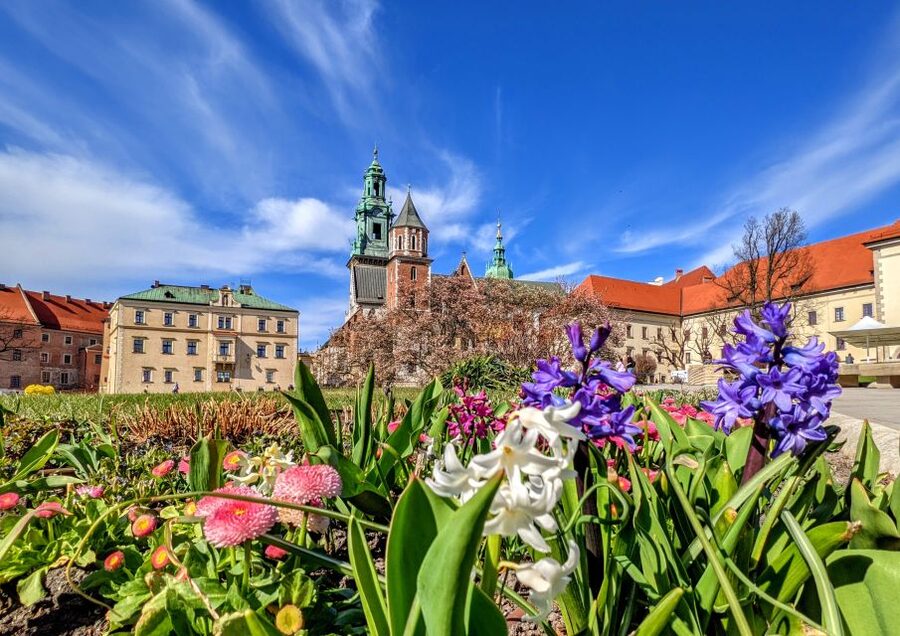 Kraków: Old Town & Wawel Castle Walking Tour in English - The Wawel Dragon stop, and why legends matter