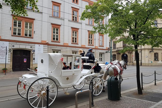 Krakow Private Walking Tour - Pacing, Walking Distance, and What to Bring