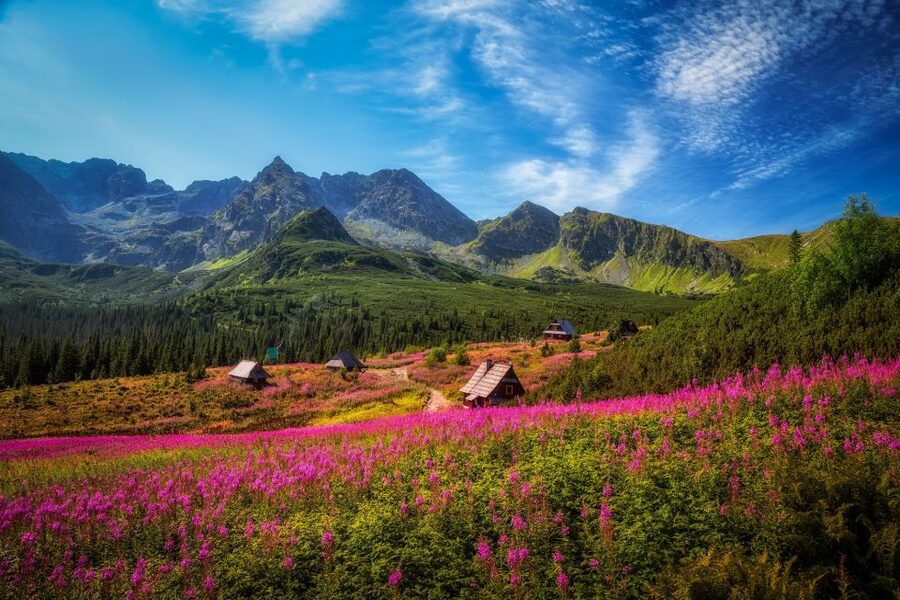 Krakow: Tatra Mountains and Zakopane Full-Day Private Tour - Key highlights worth your attention