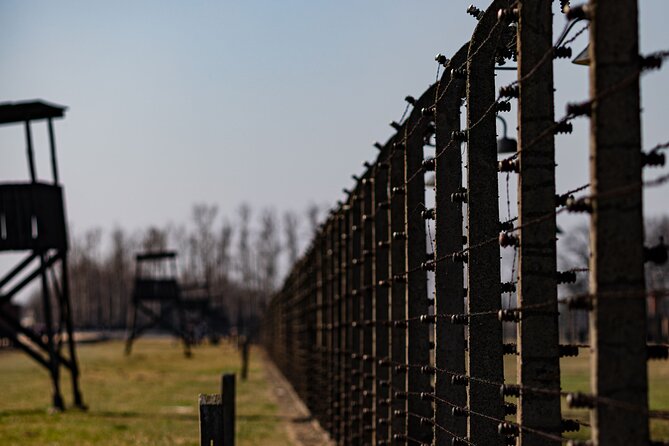 Krakow to Auschwitz Birkenau Guided Tour with Private Transfer - Price and value: $181.81 per person, with admission handled
