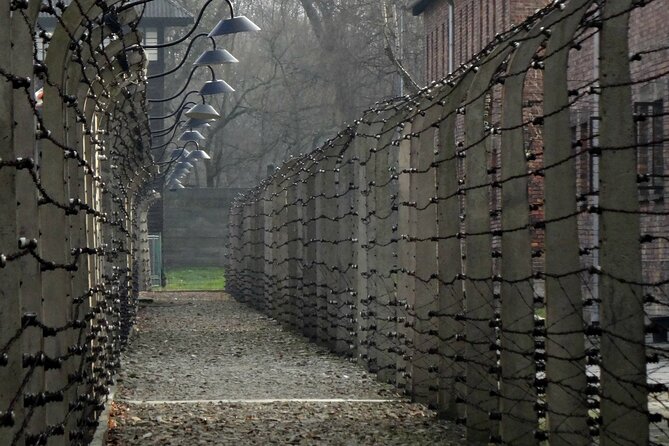 Krakow to Auschwitz Birkenau Guided Tour with Ticket and Transfer - Price and logistics: what you are really paying for