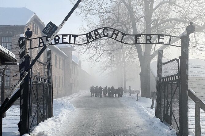 Krakow to Auschwitz Birkenau Guided Tour with Transfer and Ticket - Timing and transfers, why the structure helps more than you expect