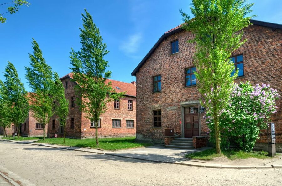Krakow: Wieliczka Salt Mine and Auschwitz-Birkenau Tour - The Wieliczka Salt Mine “underground city” and why the air claim matters