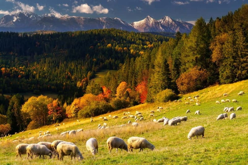 Krakow: Zakopane and/or Thermal Baths Experience - Evening bathing and sunset terrace time