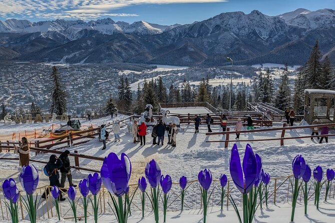 Krakow Zakopane Cable Car Vodka Cheese and Hot Springs Tour - Terma Bania Hot Springs: Skip the Line, Then Choose Your Tempo