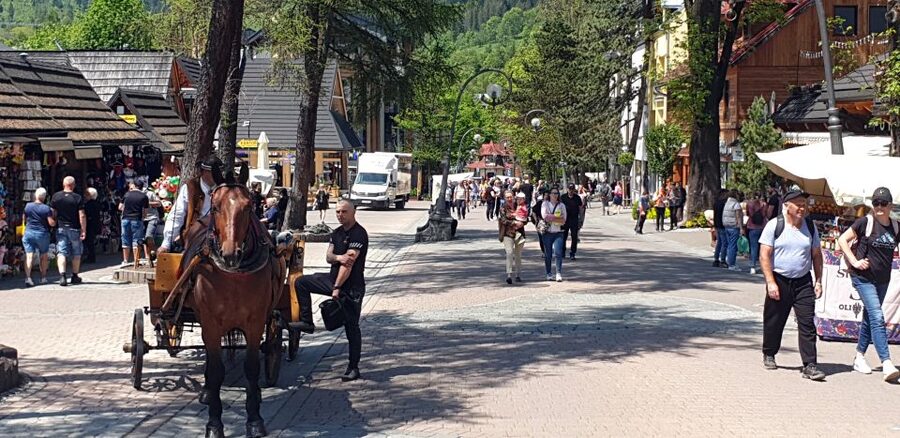Krakow: Zakopane, Funicular, Cheese, and Highland Day Trip - Who should book this Zakopane day trip, and who should skip it