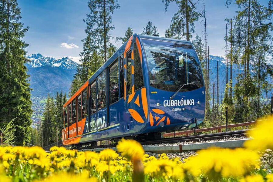 Krakow: Zakopane, Morskie Oko, and Cheese Tasting Tour - Key highlights that matter