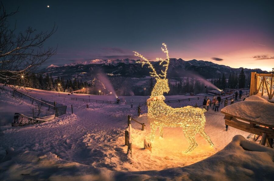 Krakow: Zakopane Tatra Mountains, Cable Car, Local Tasting - Oscypek and vodka tasting: the most delicious culture lesson