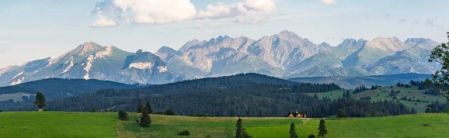 Krakow: Zakopane, Thermal Baths, Cable Car, Vodka, Oscypek - Oscypek and flavored vodka: the taste tests that fit the day