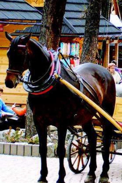 KRAKOW ZAKOPANE TOUR CABLE CAR THERMAL BATHS & HOTEL PICKUP - FAQ