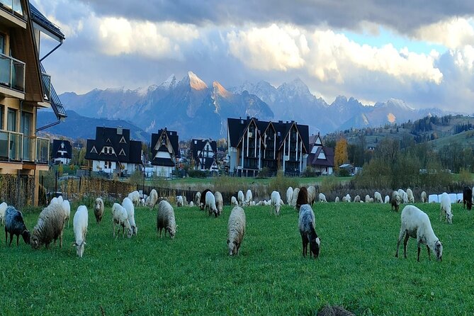 Krakow Zakopane Tour Tatra Mountains and Funicular Car - Jaszczurówka church: the quiet, scenic pause you’ll appreciate