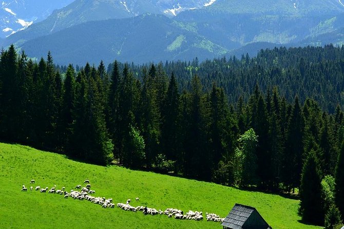 Krakow: Zakopane with Thermal Baths, Cable Car & Hotel Pickup - Chochołów: identical wooden houses and the twice-a-year tradition