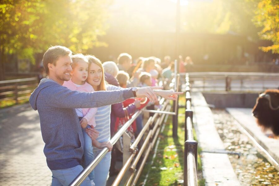 Krakow: Zoo Tour with Private Transport and Tickets - Timing: How to Get the Best Out of About 3 Hours