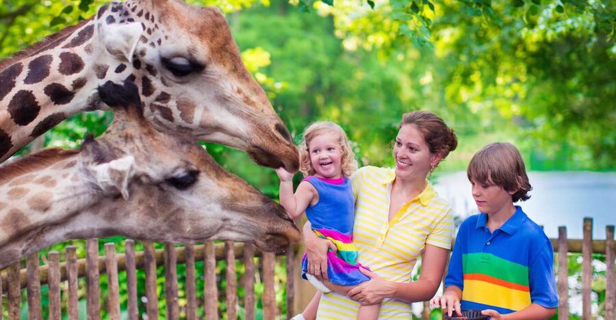 Krakow: Zoo Tour with Private Transport and Tickets - Should You Book This Zoo Tour?