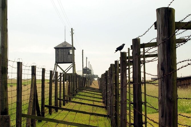 Lublin and Majdanek Small Group Tour from Warsaw with Lunch - Who this tour fits best