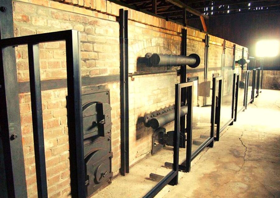 Lublin & Majdanek Small-Group Tour from Warsaw with Lunch - Price and Value: What $311 Buys You in a One-Day Format