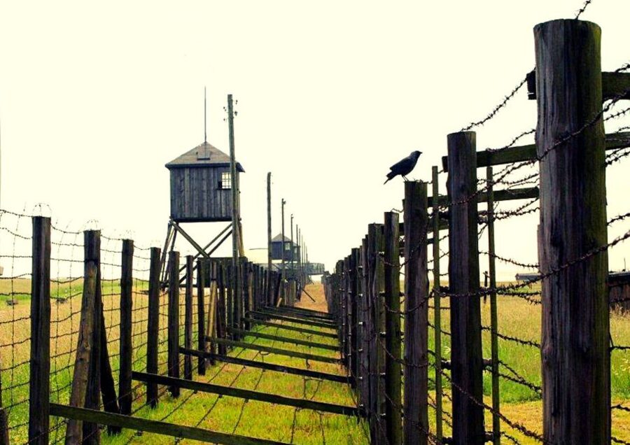 Lublin & Majdanek Small-Group Tour from Warsaw with Lunch - Should You Book This Lublin and Majdanek Day Trip?