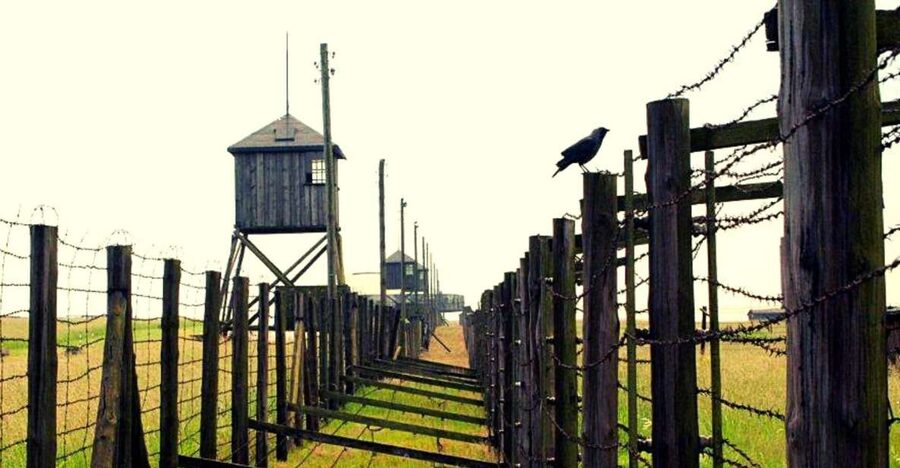 Lublin & Majdanek Small-Group Tour from Warsaw with Lunch - Inside Majdanek State Museum: How a Guided Visit Changes What You Notice