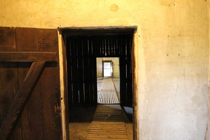 Majdanek Concentration Camp Tour from Warsaw with Hotel Pickup - Timing, clothing, and comfort for the 2-3 hour walk