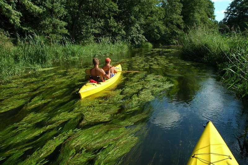 Masurian Lake District: Canoe and Sailing Tour from Warsaw - Key things that make this day work so well