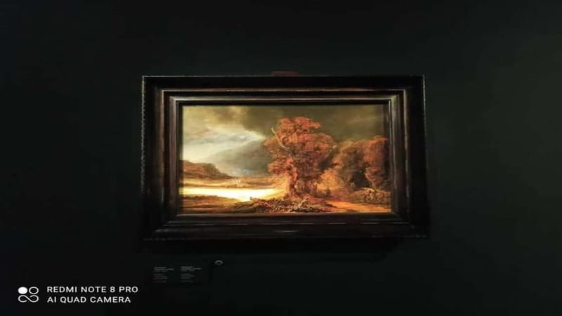 Museo Czartorisky : Visita in Lingua Italiana salta fila… - The 2-hour guided focus on Lady with an Ermine and Leonardo da Vinci
