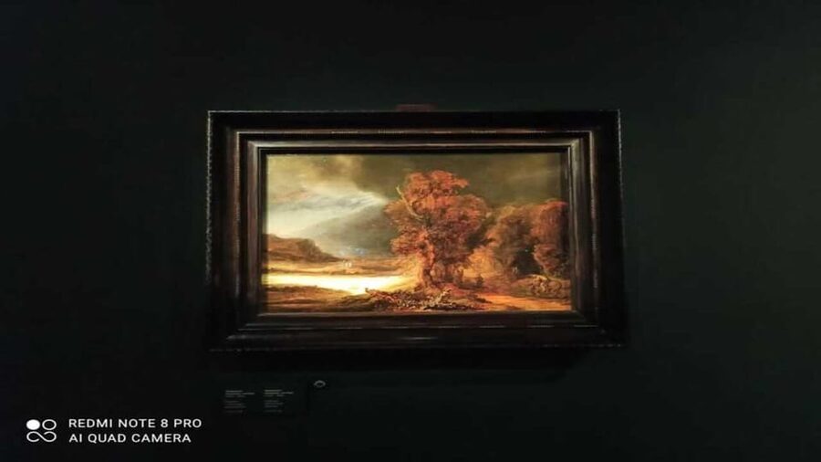 Museo Czartoryski: Visita in italiano e salta la fila - Museo Czartoryski in Krakow, and why this tour is built smart