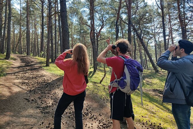 Nature Walk and Wildlife Tour in Sobieszewo Island - Key things that make this wildlife tour work