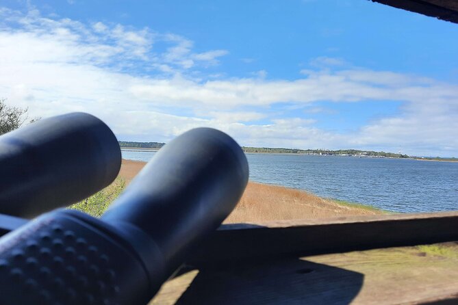 Nature Walk and Wildlife Tour in Sobieszewo Island - Stop 2: Wieża Obserwacyjna Nr2 and the two-story platform views