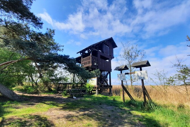 Nature Walk and Wildlife Tour in Sobieszewo Island - Stop 3: Znak Ptasi Raj for a quick rest and picnic moment