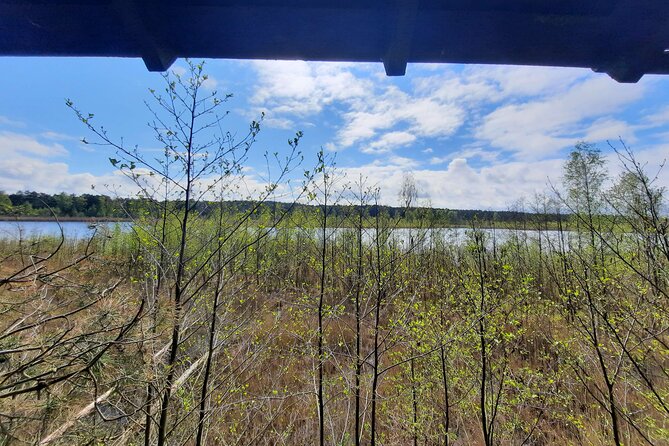 Nature Walk and Wildlife Tour in Sobieszewo Island - Stop 4: Plaża 19 in Gdańsk for sea birds, including white-tailed eagles