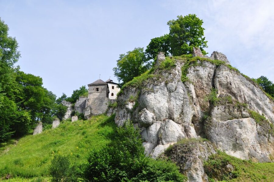 Ojcow National Park: Full-Day Trip from Krakow - Pickup in Krakow: easy start, smoother day