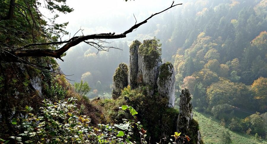 Ojcow National Park: Full-Day Trip from Krakow - Stop 1, Grota Lokietka cave in Czajowice