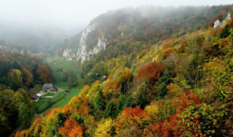 Ojcow National Park: Full-Day Trip from Krakow - Stop 2, the forest hike toward Krakow Gate
