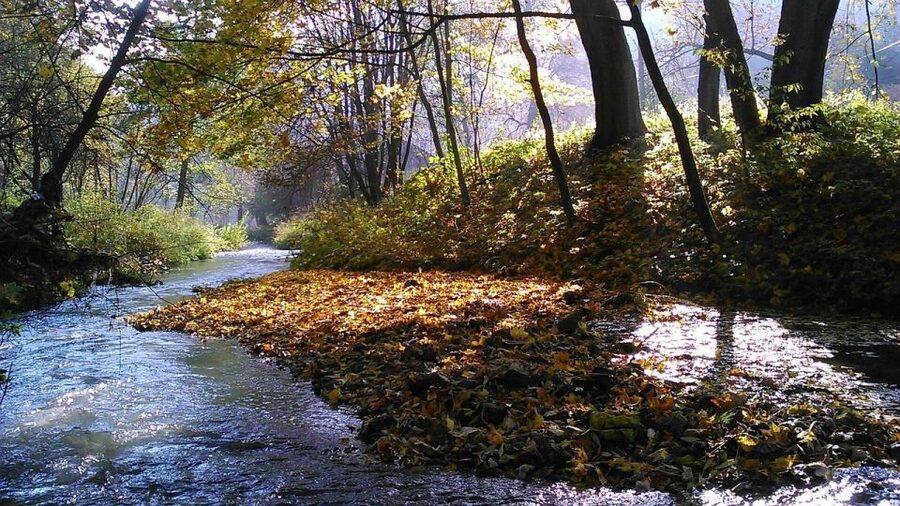 Ojcow National Park: Full-Day Trip from Krakow - Stop 3, Pieskowa Skala and the Renaissance castle