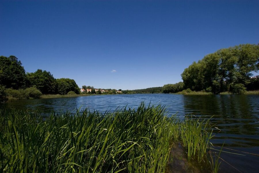 Olsztyn Old Town Highlights Private Walking Tour - Who should book this Olsztyn Old Town tour