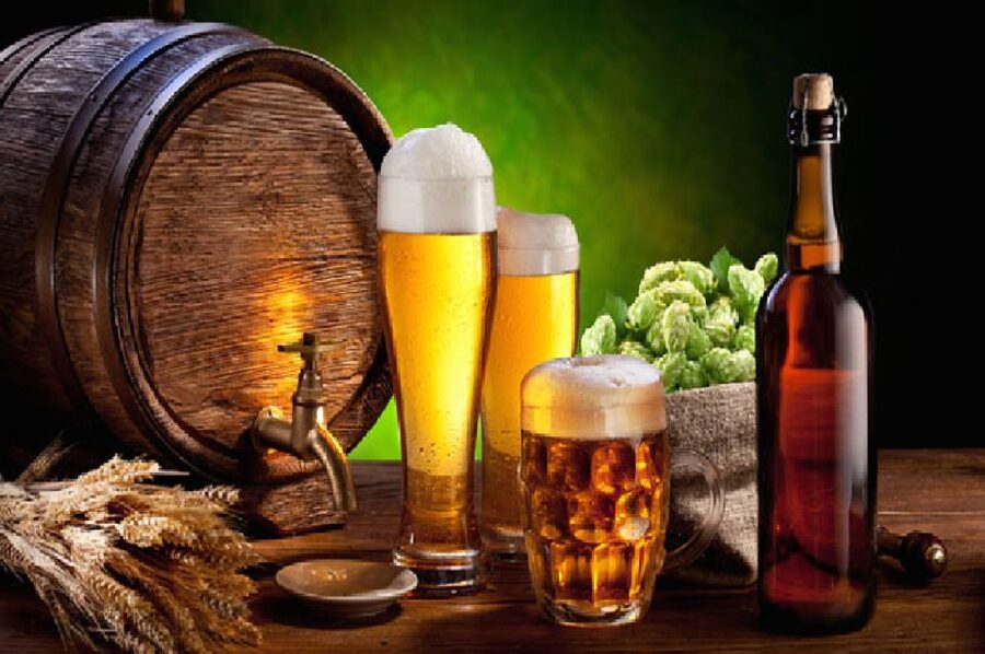 Poznan: City and Brewery Private Walking Tour with Beer - Ostrow Tumski and the Gothic Cathedral, the perfect start