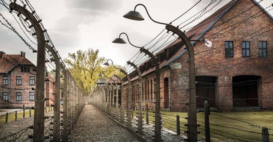 Prague: Tour to Auschwitz Birkenau - Crematorium remains, watchtowers, and the meaning of ruins