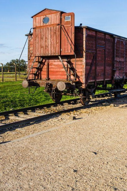 Prague: Tour to Auschwitz Birkenau - What you get included, and where the value is coming from