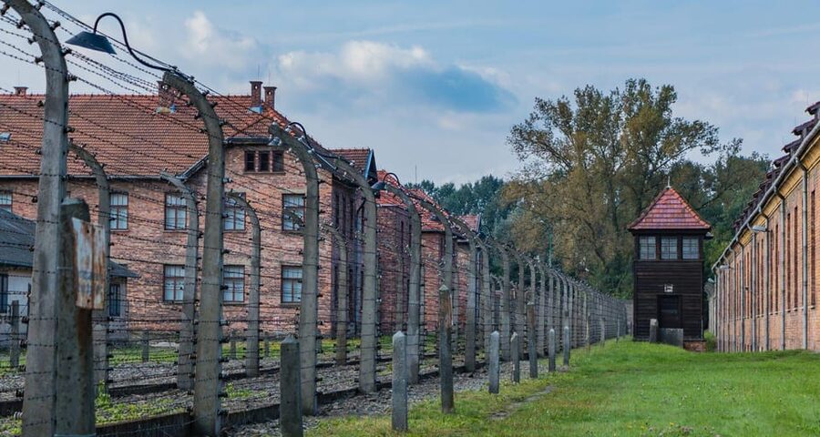 Prague: Tour to Auschwitz Birkenau - Skip-the-line entry and private pacing that helps you focus