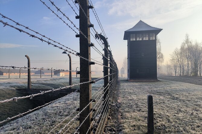 Private Guided Tour to Auschwitz & Birkenau from Krakow - The Driver and the Day’s Pace: What Turns a Trip Into a Relief