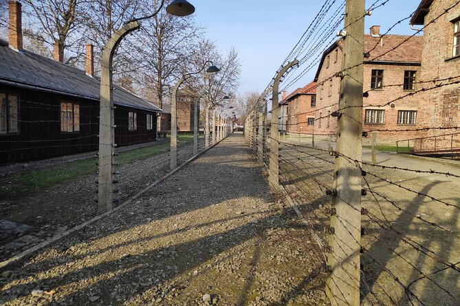 Private Tour to Auschwitz Birkenau & Salt Mine in One Day - Should you book this tour?