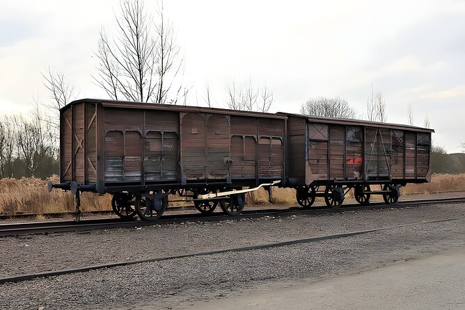 Private Van Auschwitz Birkenau Tour - Who this tour is best for