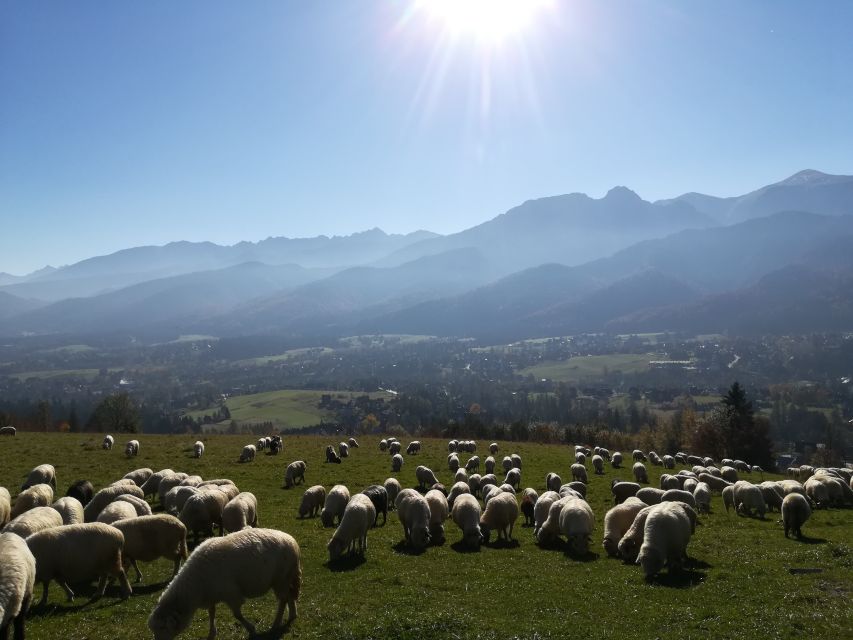 Rafting on Dunajec & Zakopane Tour – Day Trip from Krakow - Key highlights I’d plan around