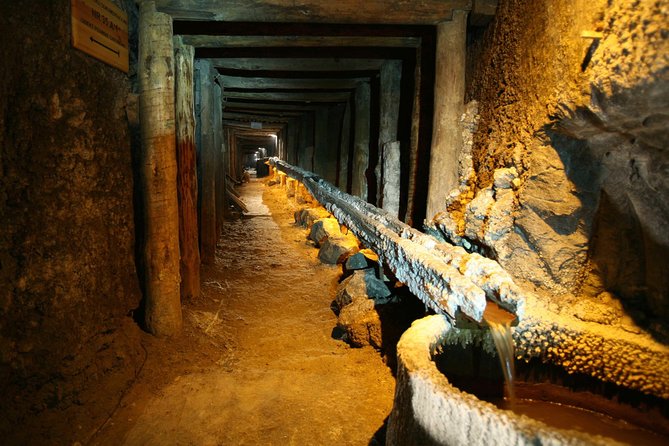 Salt Mine Wieliczka with Private Car from Krakow - Who should book this salt mine experience?