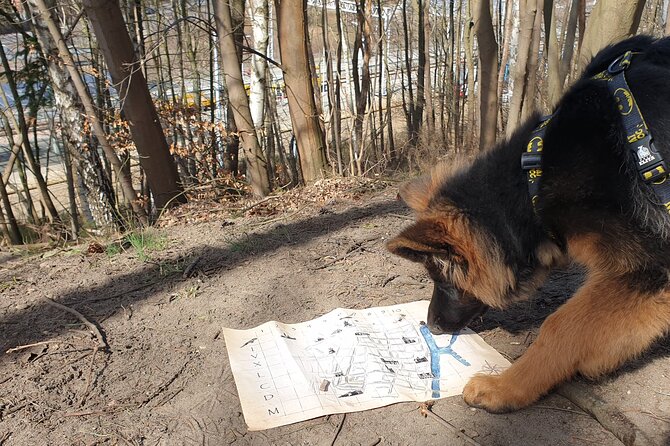 Scavenger Hunt in Gdańsk, Poland - Puzzle Load: Logic and Math Are Part of the Fun
