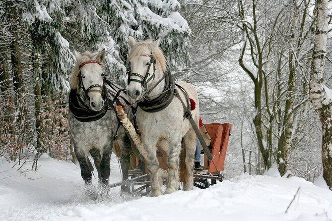 Sleigh Ride & Bonfire in Zakopane with Funicular - Private Trip - Quick hits for your winter checklist