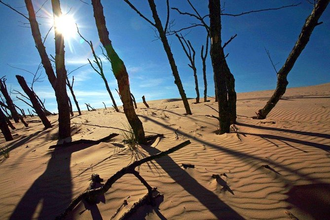 Slowinski National Park Private Tour - Inside the Park: Melex Transport and the Dune Approach